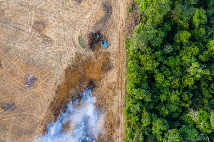 Aerial,View,Of,Deforestation.,Rainforest,Being,Removed,To,Make,Way