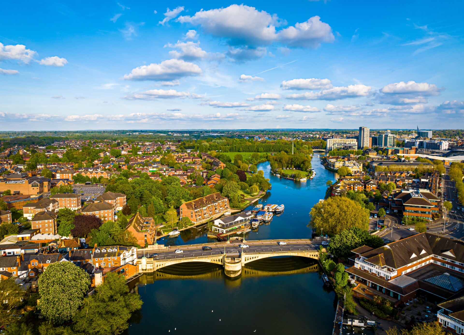 shutterstock_2301479937
